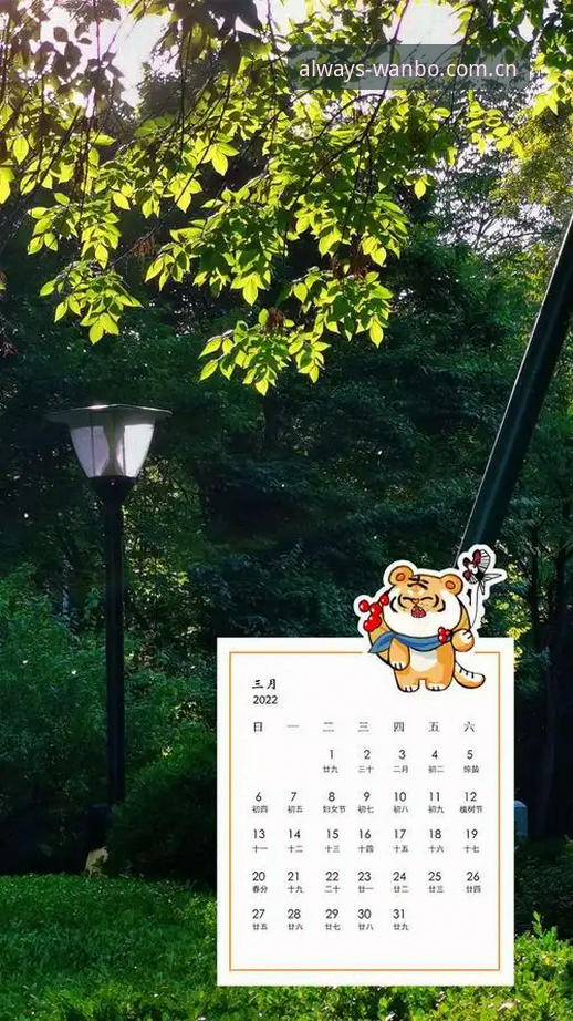 为什么你的赛季日历总比球友慢半拍？